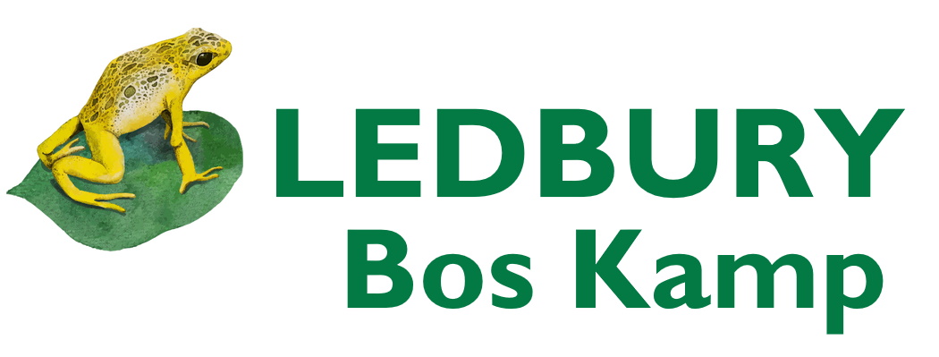 LEDBURY BOS KAMP