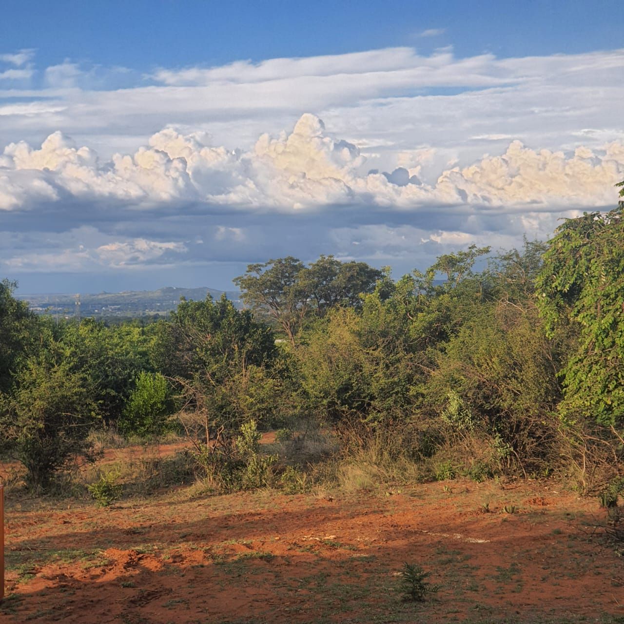 Ledbury Bos Kamp Natuur Ledbury Bos Kamp Natuur