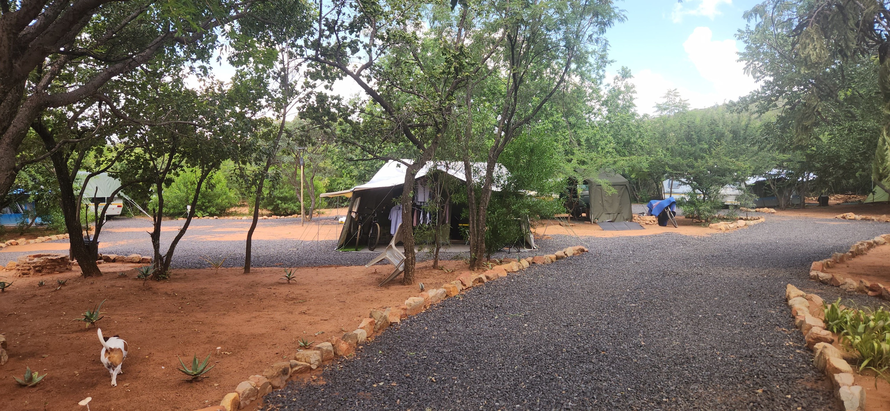 Ledbury Bos Kamp Stands 1