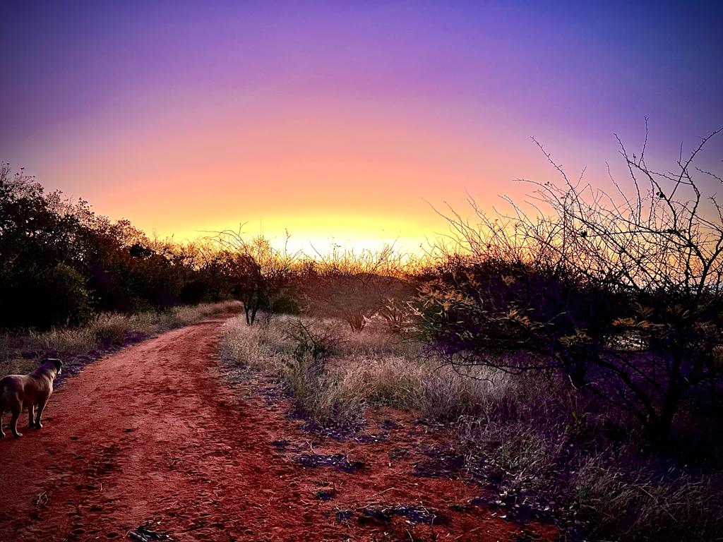 Ledbury Bos Kamp_View 1 Ledbury Bos Kamp_View 1