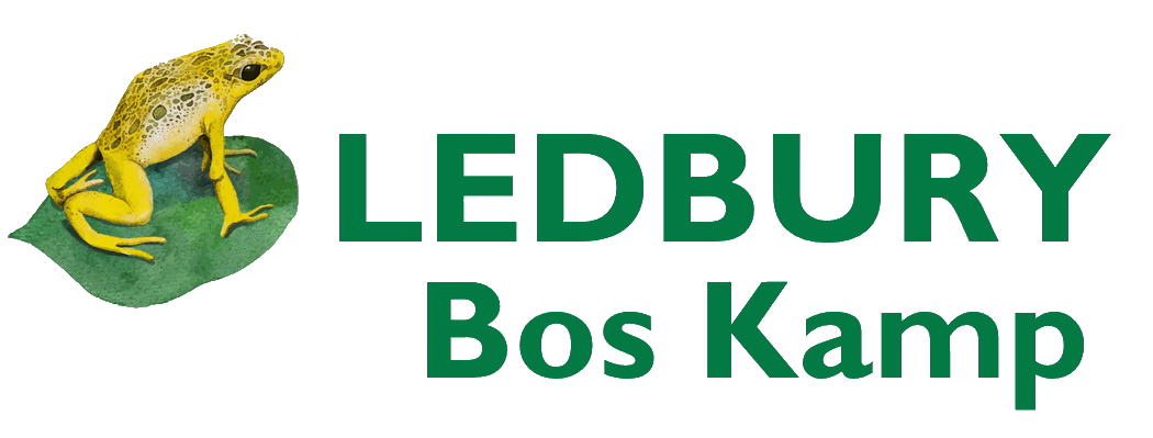 LEDBURY BOS KAMP clear